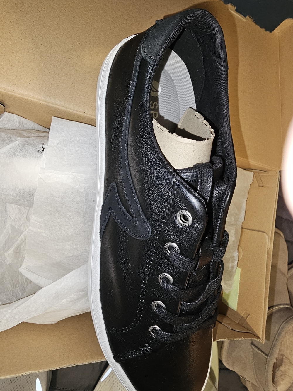 Sperry Black Leather Low-Top Sneaker with White Sole